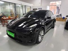 Tesla Model Y Rear-Wheel Drive - ფოტო 2