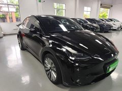 Tesla Model Y Rear-Wheel Drive - ფოტო 4