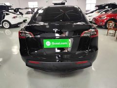 Tesla Model Y Rear-Wheel Drive - ფოტო 6