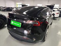 Tesla Model Y Rear-Wheel Drive - ფოტო 7