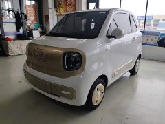 FAW Besturn Xiaoma 170km Vitality Edition - photo 2