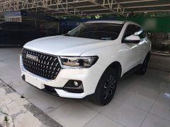 Haval H6 2023 National Trend Edition 1.5T Automatic Urban Version - ფოტო 1