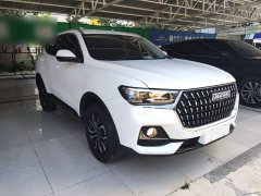 Haval H6 2023 National Trend Edition 1.5T Automatic Urban Version - ფოტო 4