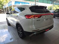 Haval H6 2023 National Trend Edition 1.5T Automatic Urban Version - ფოტო 5