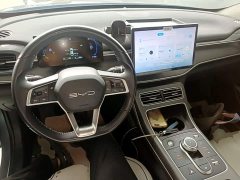 BYD Destroyer 05 Glory Edition DM-i 55KM Luxury - ფოტო 10