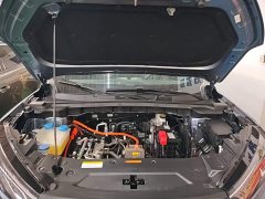 Dongfeng Shijie 06 520km Range - ფოტო 20