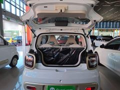 FAW Besturn Xiaoma 222km Colorful Edition - ფოტო 19