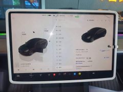Tesla Model 3 Performance All-Wheel Drive - ფოტო 12