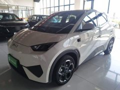 BYD Seagull Smart Driving Edition 305km Freedom Edition - ფოტო 1