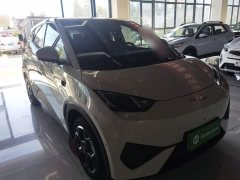 BYD Seagull Smart Driving Edition 305km Freedom Edition - ფოტო 4