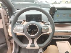 BYD Seagull 2023 Vitality Edition - ფოტო 11