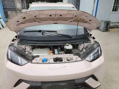 BYD Seagull 2023 Vitality Edition - ფოტო 20