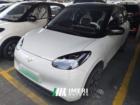 2024 Wuling Binguo 333km Lingxi Connected Edition