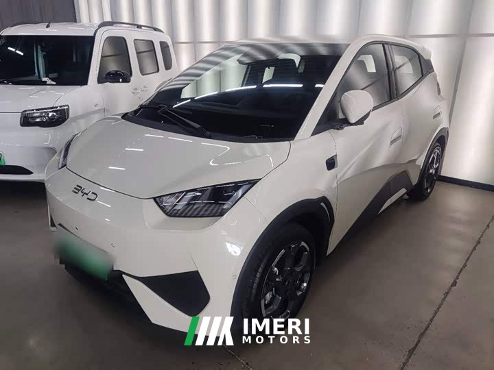 BYD Seagull Smart Driving Edition 305km Freedom Edition