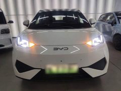 BYD Seagull Smart Driving Edition 305km Freedom Edition - ფოტო 3