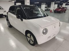 ORA Black Cat 301km Cute Pet Edition - ფოტო 4