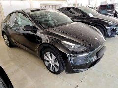 Tesla Model Y Rear-Wheel Drive - ფოტო 4