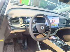 Denza BYD Denza D9 DM-i 980 Four-Wheel Drive Premium - ფოტო 10