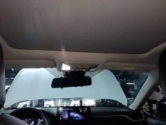 Toyota RAV4 2023 2.0L CVT AWD Adventure Plus - ფოტო 18