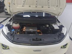 Geely Geometry E Firefly 401KM Linglong Tiger 5-Seater - ფოტო 16