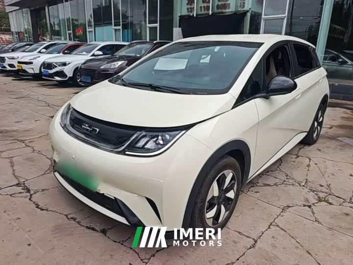 BYD Dolphin 2025 420km Freedom Edition - ავტომობილი ჩინეთიდან