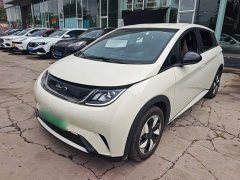 BYD Dolphin 2025 420km Freedom Edition - ფოტო 1