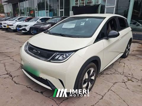 2026 BYD Dolphin 420km Freedom Edition