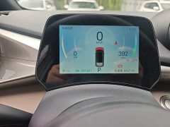 BYD Dolphin 2025 420km Freedom Edition - ფოტო 12