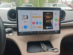 BYD Dolphin 2025 420km Freedom Edition - ფოტო 13