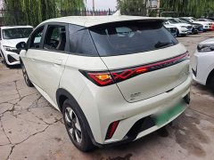 BYD Dolphin 2025 420km Freedom Edition - ფოტო 5