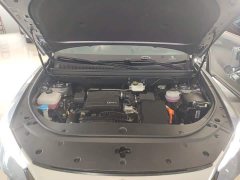 BYD Song Pro New Energy 2024 DM-i 71KM Glory Edition Pilot - ფოტო 20