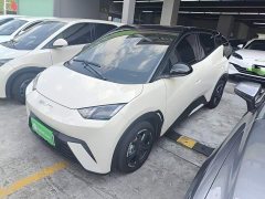 BYD Seagull Freedom Edition - ფოტო 2