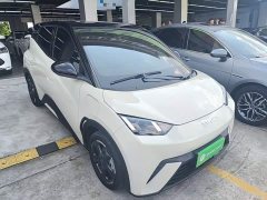 BYD Seagull Freedom Edition - ფოტო 4
