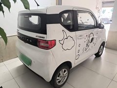 Wuling Hongguang MINIEV 2020 Zizai Trim Ternary Lithium - ფოტო 7