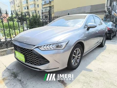 2023 BYD Qin PLUS Champion Edition DM-i 55KM Leading