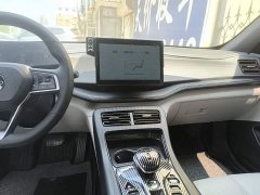 BYD Qin PLUS Champion Edition DM-i 55KM Leading - ფოტო 13
