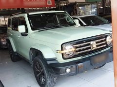 Tank 300 2021 City Edition 2.0T Stylish - ფოტო 4