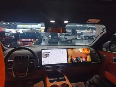 Li Auto L9 Max - ფოტო 10