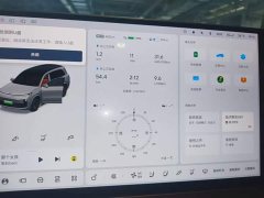 Li Auto L9 Max - ფოტო 12