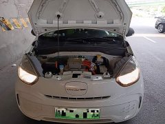 SAIC Corey Wei CLEVER 302km New Four-Seat Super Version - ფოტო 20