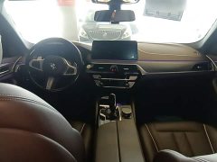 BMW 5 Series Facelift 530Li Premier M Sport Package - ფოტო 10