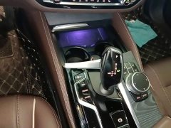 BMW 5 Series Facelift 530Li Premier M Sport Package - ფოტო 14