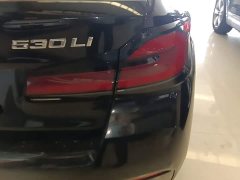 BMW 5 Series Facelift 530Li Premier M Sport Package - ფოტო 8