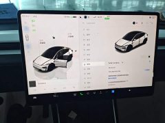 Tesla Model Y Rear-Wheel Drive - ფოტო 12