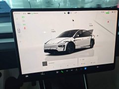 Tesla Model Y Rear-Wheel Drive - ფოტო 13