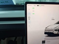 Tesla Model Y Rear-Wheel Drive - ფოტო 14