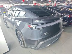 Tesla Model Y Rear-Wheel Drive - ფოტო 5
