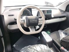 Changan Lumin Treasure Edition 205km Cool Love White CATL - ფოტო 10