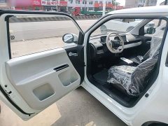 Changan Lumin Treasure Edition 205km Cool Love White CATL - ფოტო 16