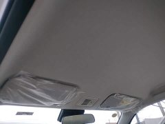 Changan Lumin Treasure Edition 205km Cool Love White CATL - ფოტო 18